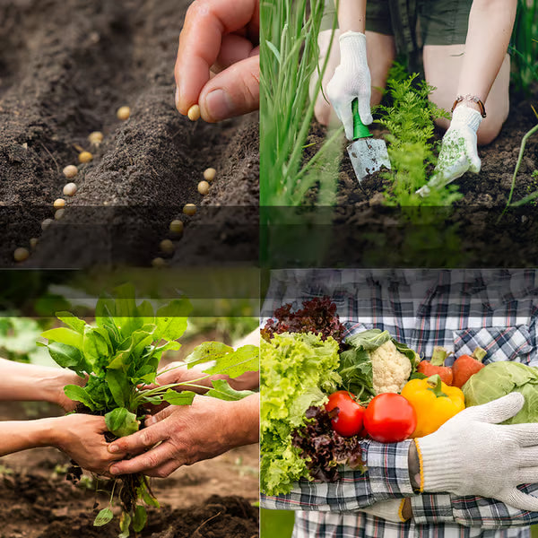 ✨Vegetable Seed Vault Kit | 35 Variety Pack